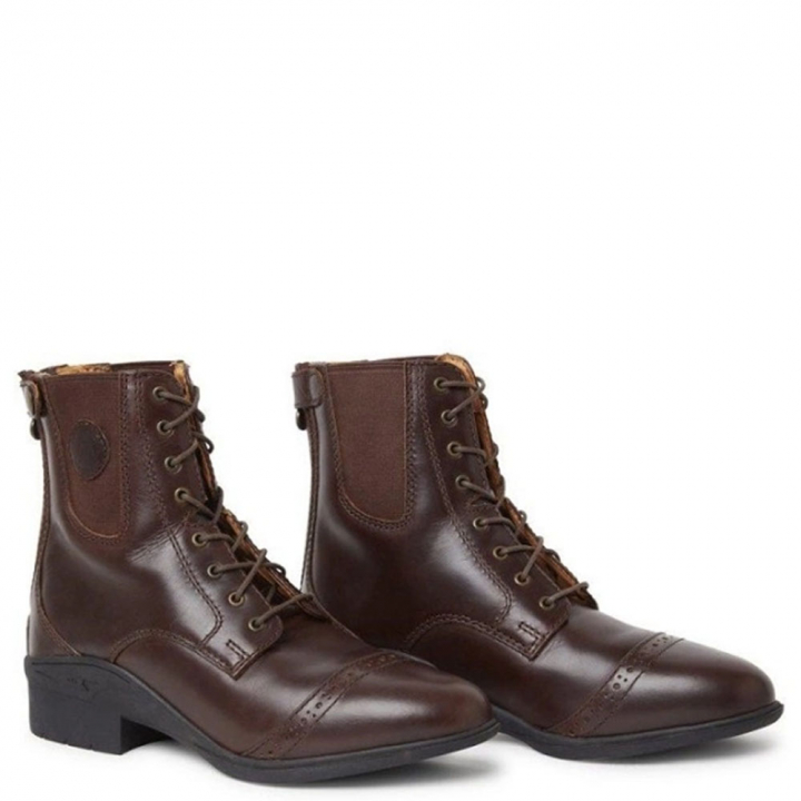 Aurora Back Zip Paddock Marron  dans le groupe Boots, Bottes & Chaps / Boots d'équitation chez Equinest (01074_B_r)