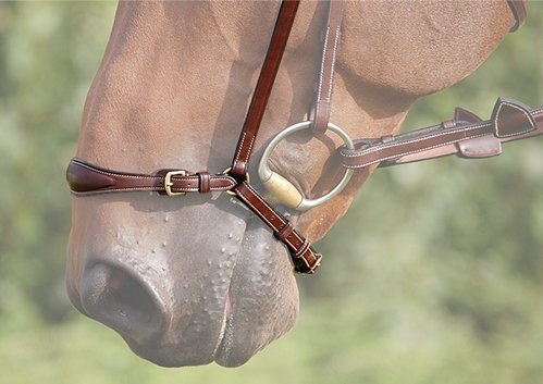 Muserolle de redressage sans martingale Brun dans le groupe Équipement cheval / Briderie & Frontaux / Accessoires de briderie chez Equinest (0523B637_B_r)