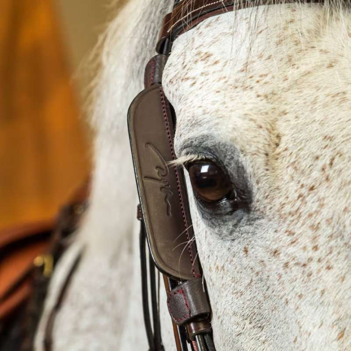 Focales / Clignotants 2-pack Brun dans le groupe Équipement cheval / Briderie & Frontaux / Accessoires de briderie chez Equinest (0523BBL_B_r)