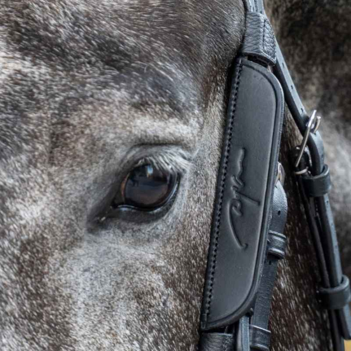 Focales / Clignotants 2-pack Noir dans le groupe Équipement cheval / Briderie & Frontaux / Accessoires de briderie chez Equinest (0523BBL_S_r)