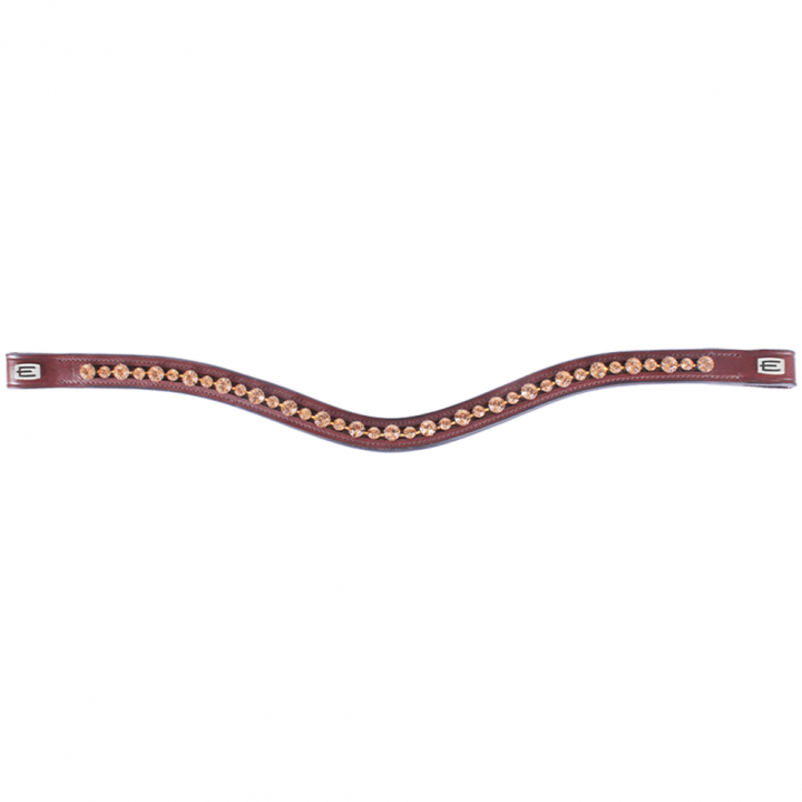 Frontal E-Logo & Cristaux Dorés Marron/Argent dans le groupe Équipement cheval / Briderie & Frontaux / Frontaux chez Equinest (0623S0011BRSI)