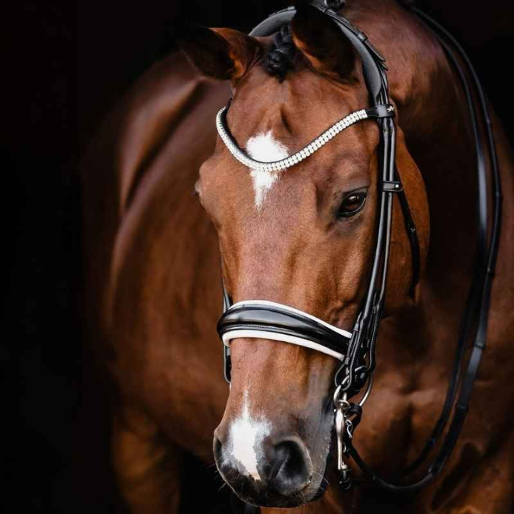 Bride de dressage Isabell Werth Bella Rose Noir/Blanc dans le groupe Équipement cheval / Briderie & Frontaux / Brides et brides de dressage chez Equinest (1000935BAWH_r)