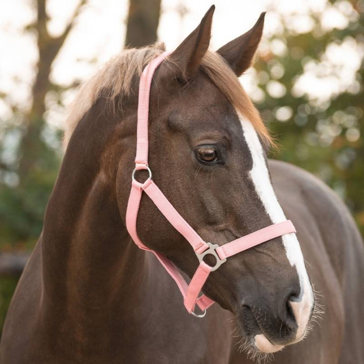Licol Slide Rose Clair dans le groupe Équipement cheval / Licols / Longes en tissu et en nylon chez Equinest (1040FP1LPI_r)