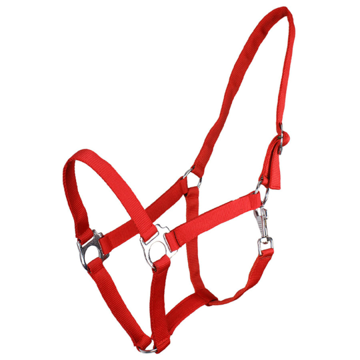 Licol Slide Rouge dans le groupe Équipement cheval / Licols / Longes en tissu et en nylon chez Equinest (1040FRO1RE_r)