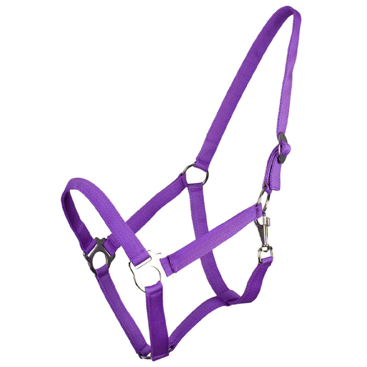 Licol Slide Violet dans le groupe Équipement cheval / Licols / Longes en tissu et en nylon chez Equinest (1040PF1PU_r)