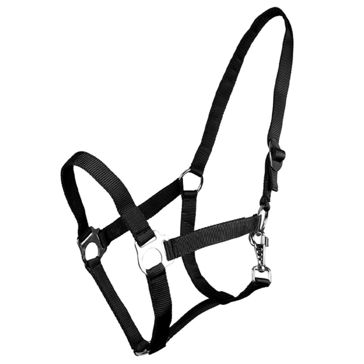 Licol Slide Noir dans le groupe Équipement cheval / Licols / Longes en tissu et en nylon chez Equinest (1040ZW1BA_r)