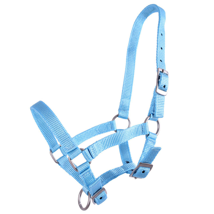 Harnais pour poulain Adjustable Bleu Clair dans le groupe Équipement cheval / Licols / Longes pour poulains chez Equinest (1047BBV1LBL_r)