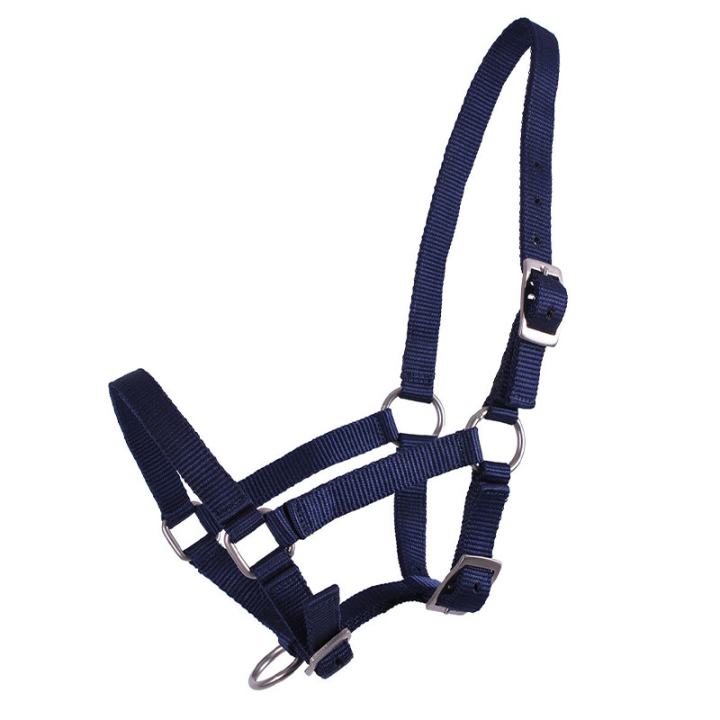 Harnais pour poulain Adjustable Bleu Marine dans le groupe Équipement cheval / Licols / Longes pour poulains chez Equinest (1047DBV1nan_r)