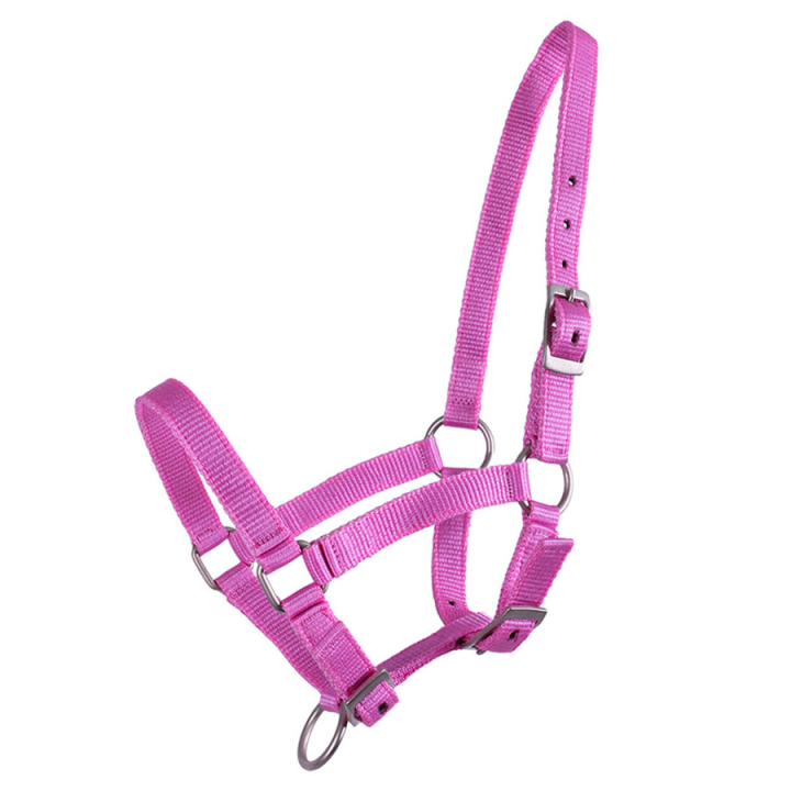 Harnais pour poulain Adjustable Rose dans le groupe Équipement cheval / Licols / Longes pour poulains chez Equinest (1047RZV1PI_r)