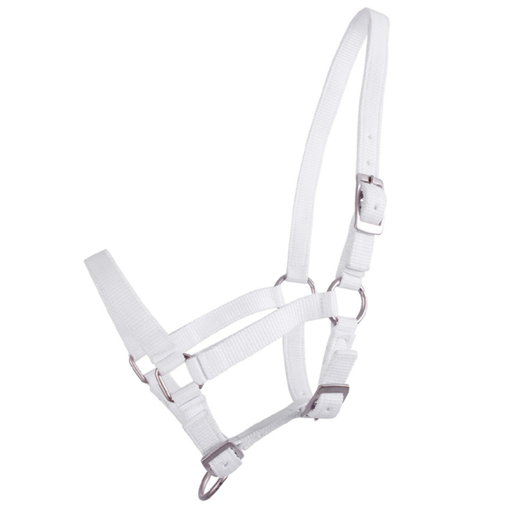 Harnais pour poulain Adjustable Blanc dans le groupe Équipement cheval / Licols / Longes pour poulains chez Equinest (1047WIV1WH_r)