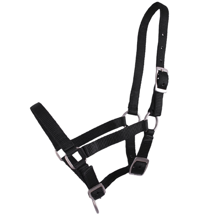 Harnais pour poulain Adjustable Noir dans le groupe Équipement cheval / Licols / Longes pour poulains chez Equinest (1047ZWV1BA_r)