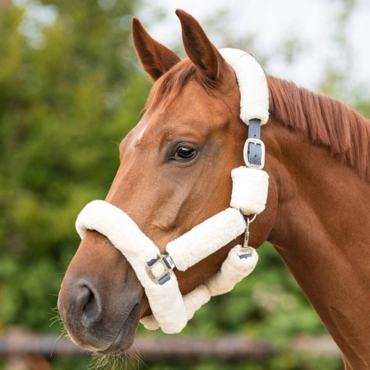 Licol Alaska Fausse Fourrure Naturelle dans le groupe Équipement cheval / Licols / Longes en tissu et en nylon chez Equinest (1097WH)