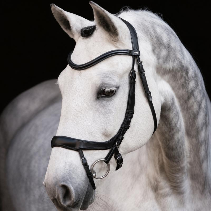 Bridon Equitus Alpha Noir dans le groupe Équipement cheval / Briderie & Frontaux / Brides chez Equinest (1101-00044Sv_r)