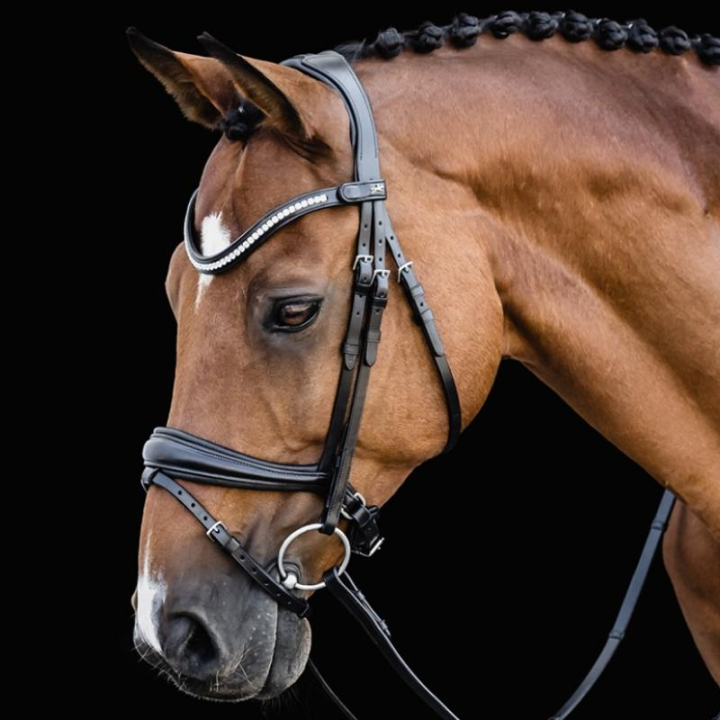 Bridon de dressage Charleston Noir dans le groupe Équipement cheval / Briderie & Frontaux / Brides et brides de dressage chez Equinest (1101000721BA_r)