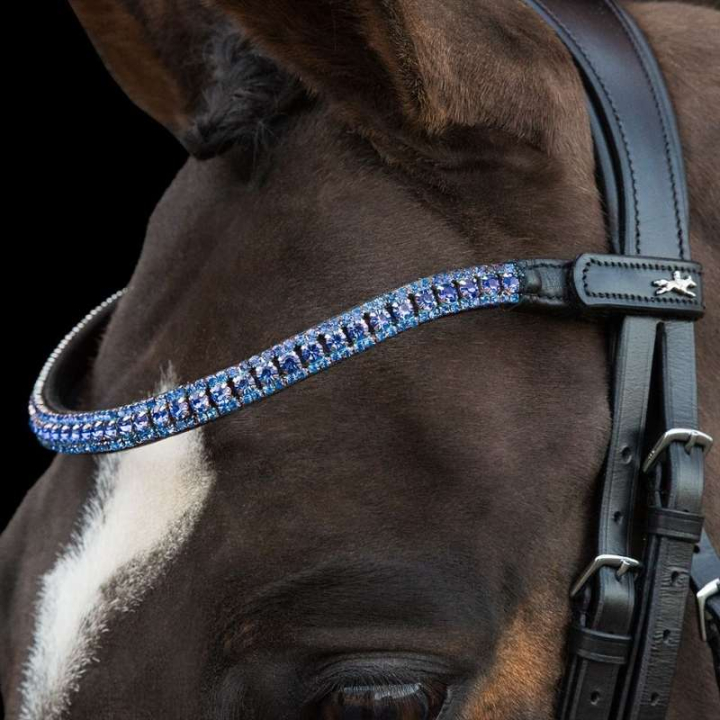 Frontal Malaga Noir/Bleu Clair dans le groupe Équipement cheval / Briderie & Frontaux / Frontaux chez Equinest (1102000887BLLB_r)