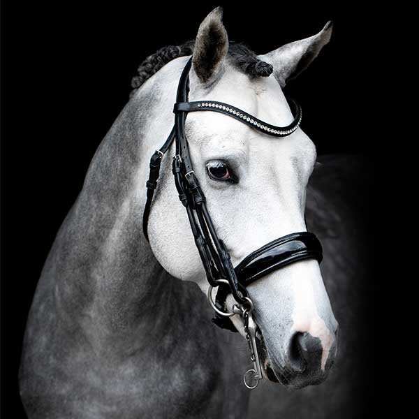 Bride de dressage Venice Noir/Laque dans le groupe Équipement cheval / Briderie & Frontaux / Brides et brides de dressage chez Equinest (1111-00009SvL_r)