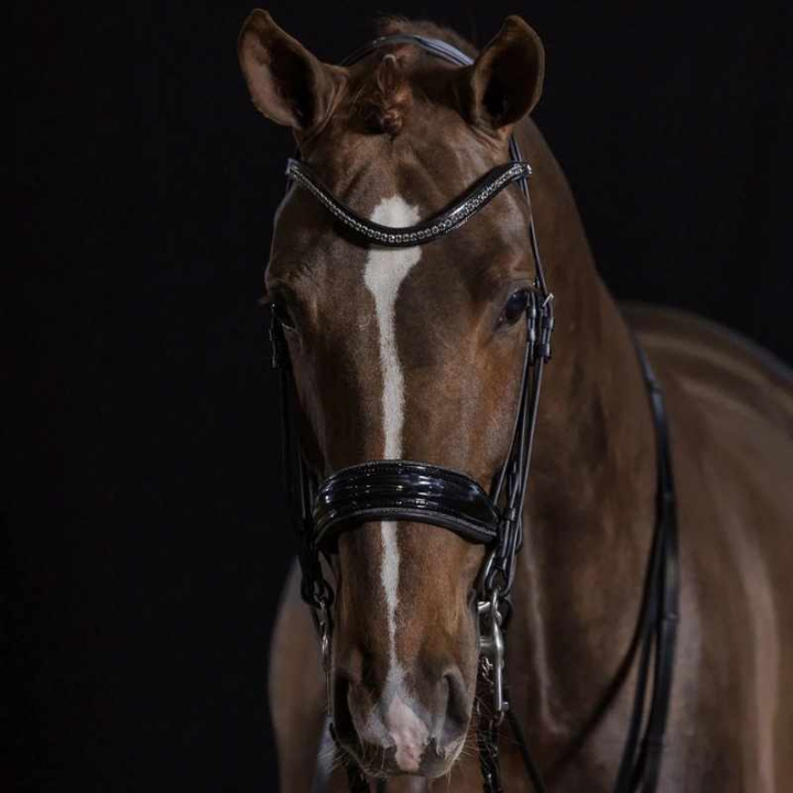 Bride de dressage vernie Milan Glam Noir dans le groupe Équipement cheval / Briderie & Frontaux / Brides et brides de dressage chez Equinest (1111000141BA_r)