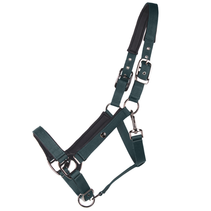 Licol Deluxe Vert Foncé dans le groupe Équipement cheval / Licols / Longes en tissu et en nylon chez Equinest (1125DGR3DGN_r)