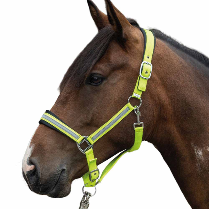 Licol Réfléchissant Jaune/Argent Cob dans le groupe Équipement d'équitation / Réflecteurs chez Equinest (14191YE)