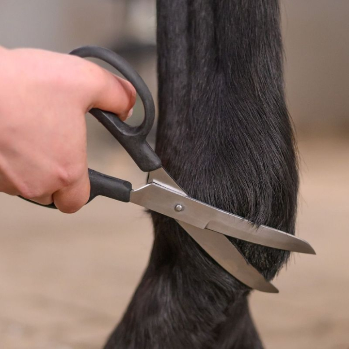 Ciseaux Fetlock Shears Bend Noir dans le groupe Produits de soins / Brosses et étrilles / Ciseaux & Couteaux de chaleur chez Equinest (154200BA)