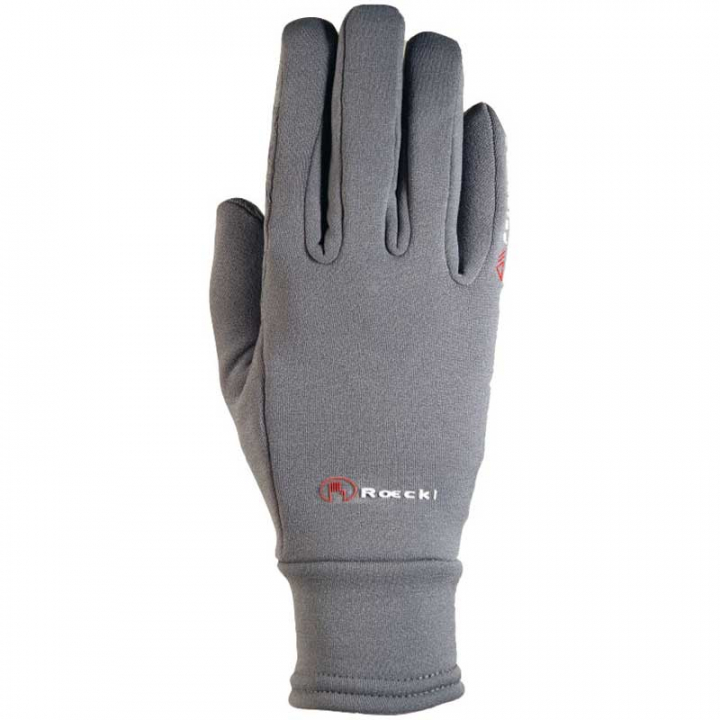 Warwick Polartec Gant Polartec Gris dans le groupe Vêtements d'équitation / Gants chez Equinest (18081524Gr_r)