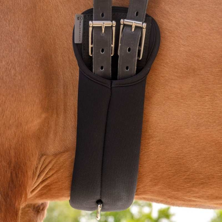 Sangle de dressage Memory Foam Noir dans le groupe Équipement cheval / Sangles bavette / Sangles courte chez Equinest (19021010BA_r)