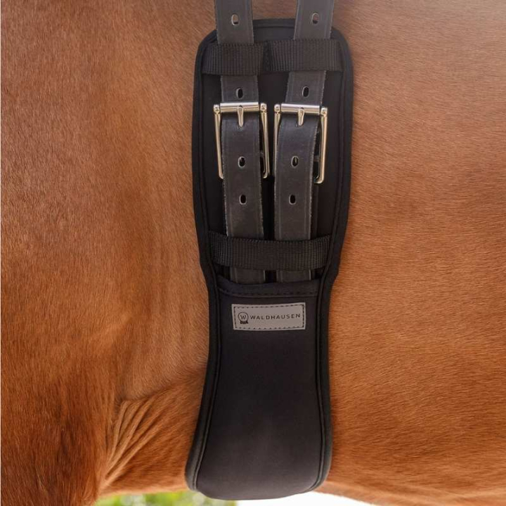 Sangle de dressage Gel Noir dans le groupe Équipement cheval / Sangles bavette / Sangles courte chez Equinest (19047010BA_r)
