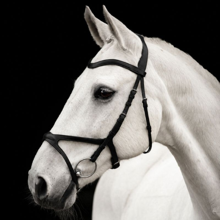 Bridon Arthur Noir dans le groupe Équipement cheval / Briderie & Frontaux / Brides chez Equinest (201312Sv_r)