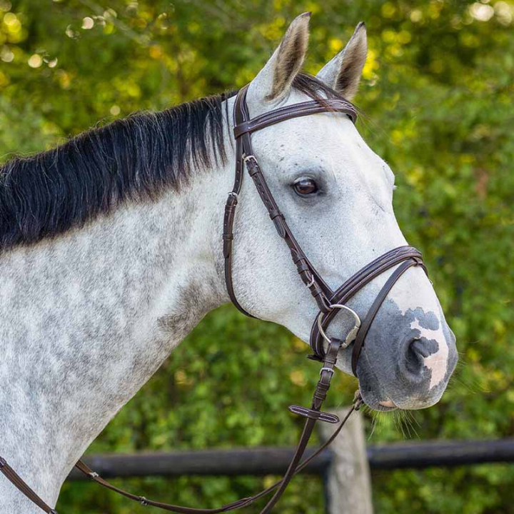 Bridon anatomique Luxury Stitched Marron Foncé dans le groupe Équipement cheval / Briderie & Frontaux / Brides chez Equinest (2021DBR1DBR_r)