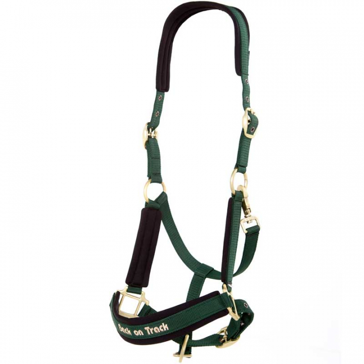 Licol Werano Vert Cob dans le groupe Équipement cheval / Licols / Longes en tissu et en nylon chez Equinest (206400Gn_r)