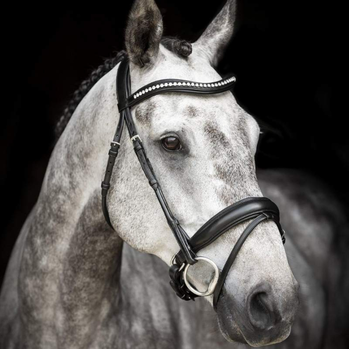 Bride de dressage Courbette Noir dans le groupe Équipement cheval / Briderie & Frontaux / Brides et brides de dressage chez Equinest (208213Sv_r)