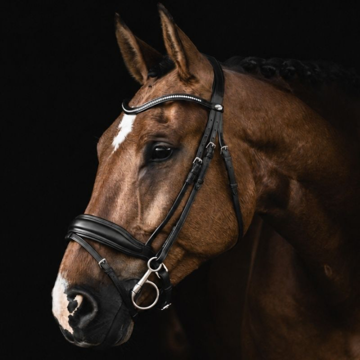 Bride de dressage Integro Noir dans le groupe Équipement cheval / Briderie & Frontaux / Brides et brides de dressage chez Equinest (208613Sv_r)