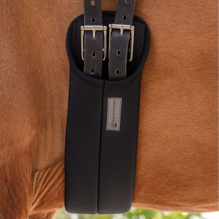 Sangle de dressage Super Soft Noir dans le groupe Équipement cheval / Sangles bavette / Sangles courte chez Equinest (21280104BA_r)
