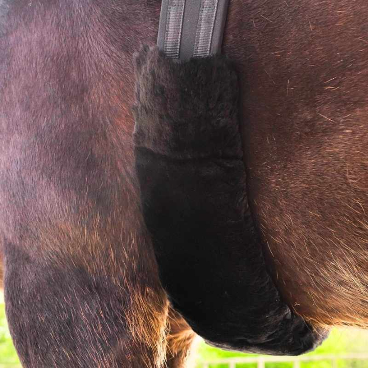 Fourreau de sangle Lambskin Noir dans le groupe Équipement cheval / Sangles bavette / Tunnels de sangle de selle chez Equinest (21443001BA)