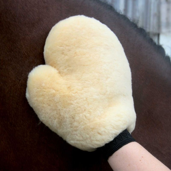 Gant de pansage Lambskin Nature dans le groupe Produits de soins / Brosses et étrilles / Gants de toilettage chez Equinest (21445002NAT)