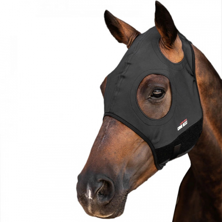 Cagoule Titanium Mask sans Oreilles Noir dans le groupe Équipement cheval / Couvre-stress chez Equinest (221213BA)
