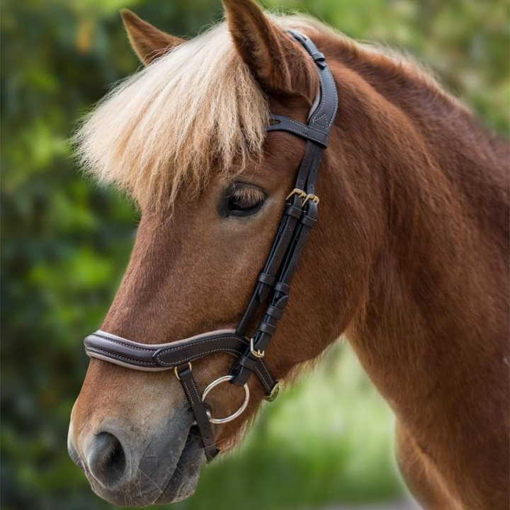 Bride islandaise Anatomic Marron dans le groupe Équipement cheval / Briderie & Frontaux chez Equinest (2279030BR)