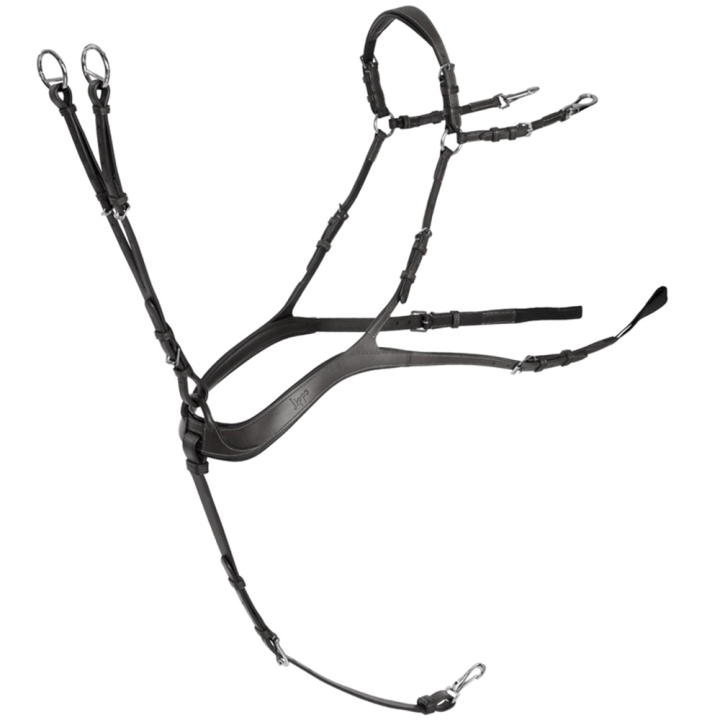 Sangle anatomique avec martingale Noir/Argent dans le groupe Équipement cheval / Martingales & Enrênements / Colliers de chasse chez Equinest (235813BASI_r)