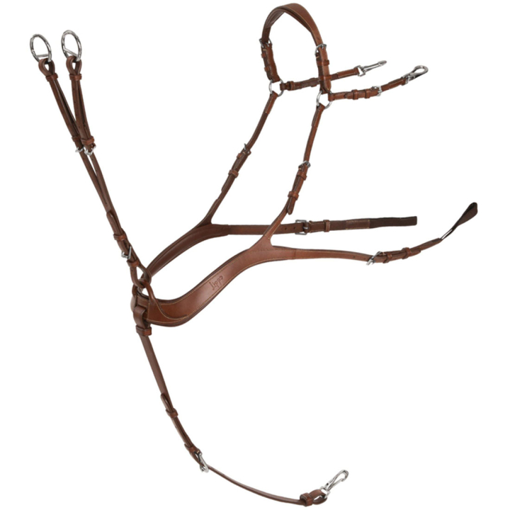 Sangle anatomique avec martingale Oak Bark/Argent dans le groupe Équipement cheval / Martingales & Enrênements / Colliers de chasse chez Equinest (235853OBSI_r)