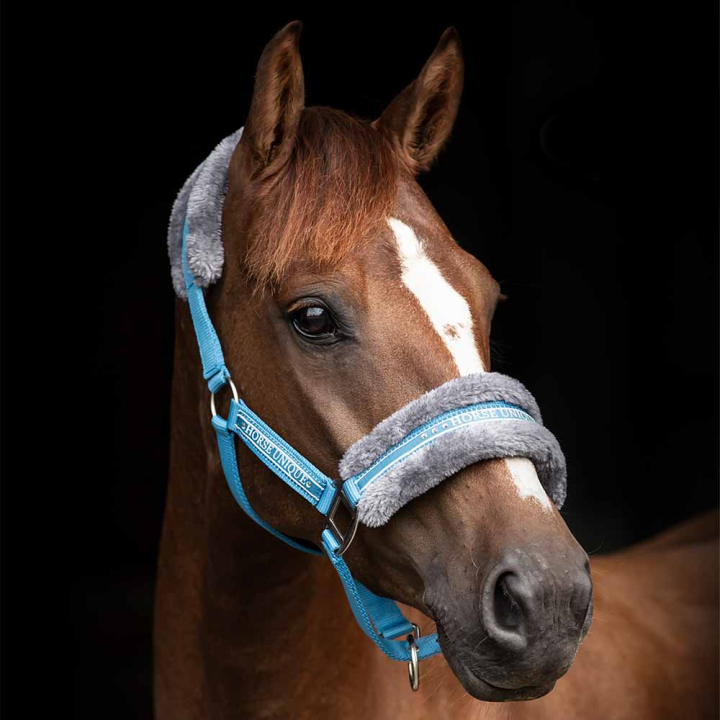 Licol avec Ludd Bleu Méditerranéen/Gris dans le groupe Équipement cheval / Licols / Longes en tissu et en nylon chez Equinest (243012LjBl_r)