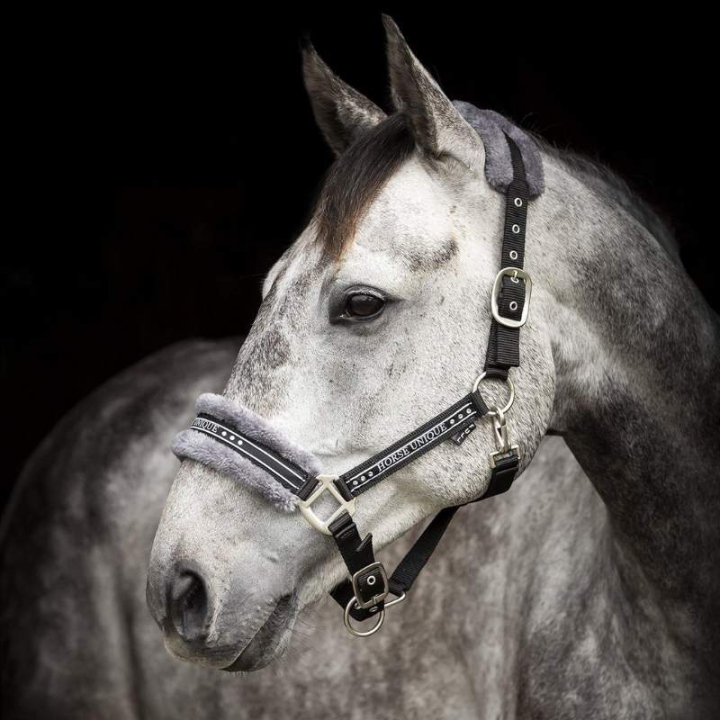 Licol avec Ludd Noir/Gris dans le groupe Équipement cheval / Licols / Longes en tissu et en nylon chez Equinest (243012Sv_r)