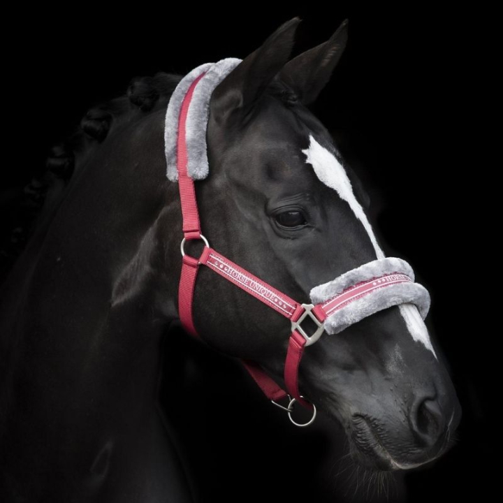 Licol avec Mouton Rouge/Gris dans le groupe Équipement cheval / Licols / Longes en tissu et en nylon chez Equinest (243082REGR_r)