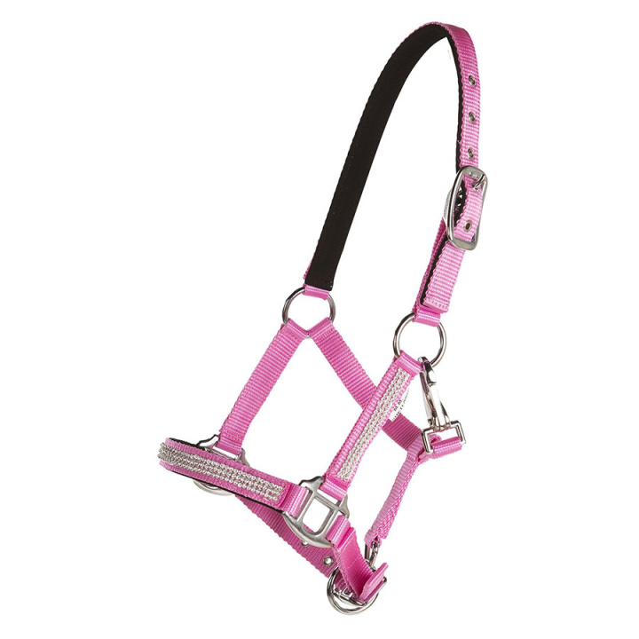 Licol Mini Strass Rose dans le groupe Équipement cheval / Licols chez Equinest (243460PI_r)