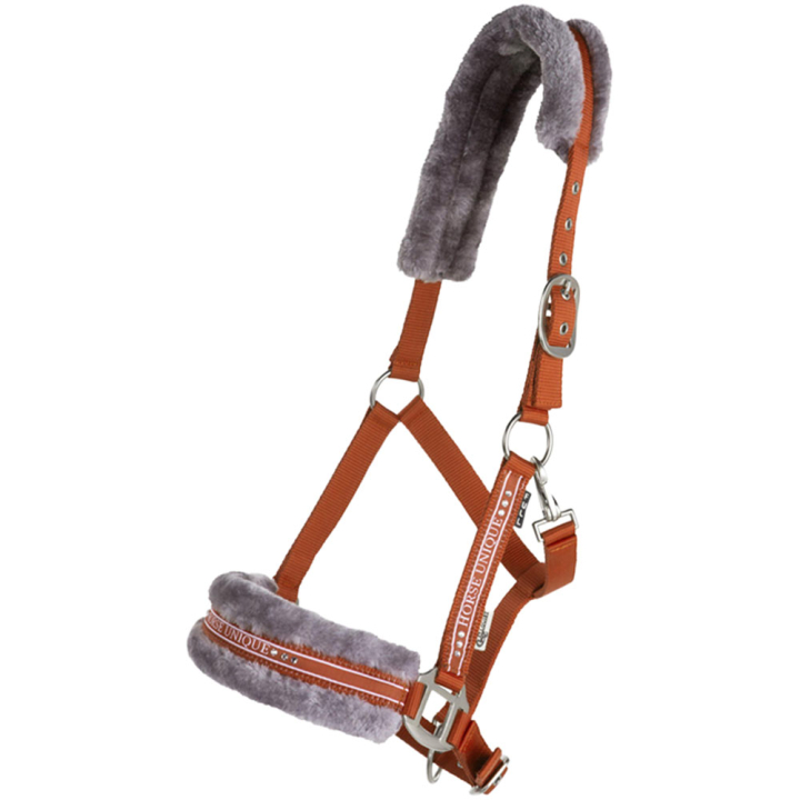 Licol avec Mouton Orange/Gris dans le groupe Équipement cheval / Licols / Longes en tissu et en nylon chez Equinest (243642ORGR_r)