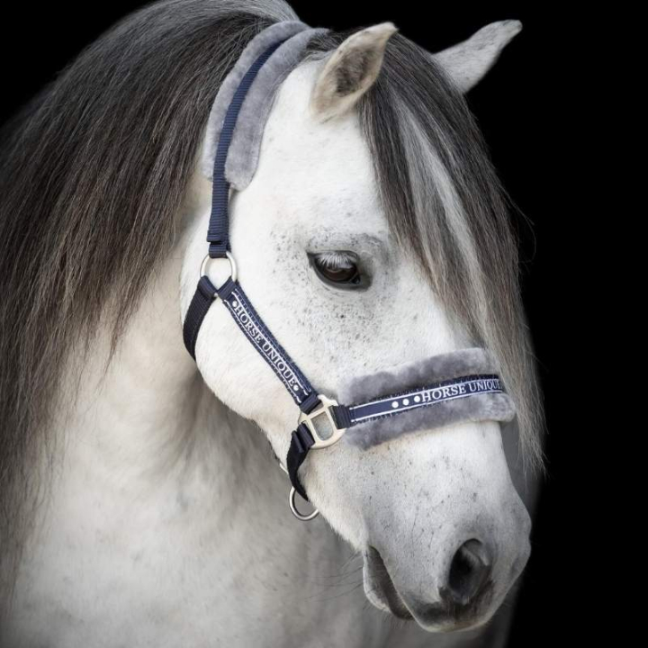 Licol avec Mouton Bleu marine/Gris dans le groupe Équipement cheval / Licols / Longes en tissu et en nylon chez Equinest (243720NAGR_r)