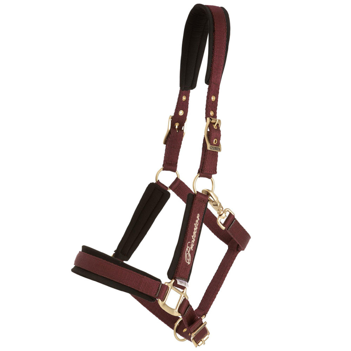 Licol Comfort Bordeaux dans le groupe Équipement cheval / Licols chez Equinest (244342WN_r)