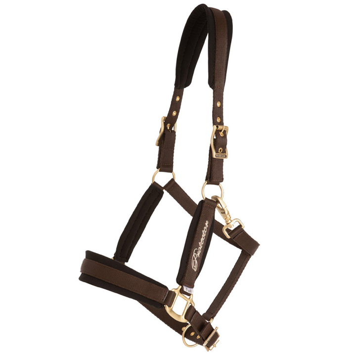 Licol Comfort Marron dans le groupe Équipement cheval / Licols chez Equinest (244352BR_r)