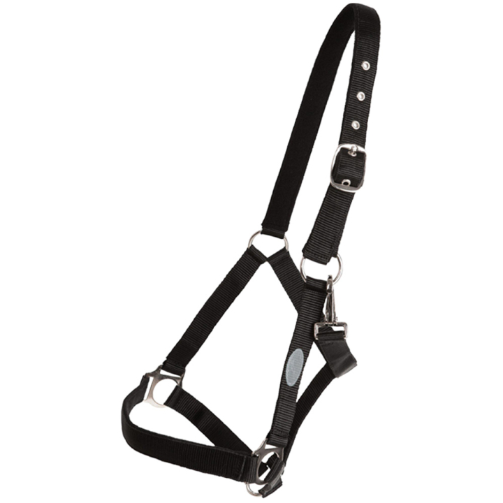 Licol Basic Noir dans le groupe Équipement cheval / Licols / Longes en tissu et en nylon chez Equinest (244912BA_r)
