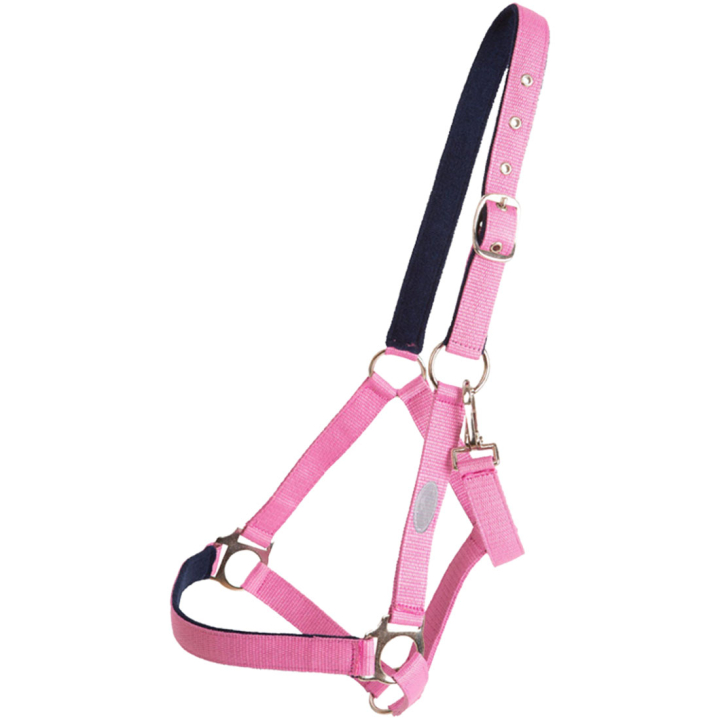 Licol Basic Rose dans le groupe Équipement cheval / Licols / Longes en tissu et en nylon chez Equinest (244962PI_r)