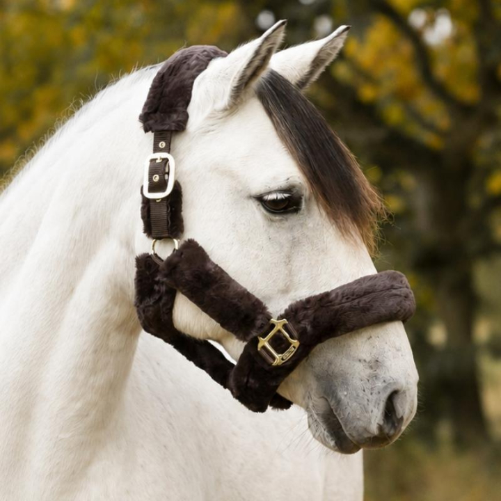 Licol Confort avec Fourrure Marron/Marron dans le groupe Équipement cheval / Licols / Longes en tissu et en nylon chez Equinest (246012Br_r)